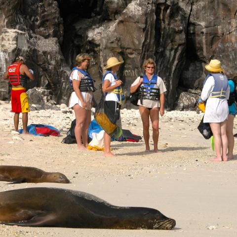 Beach scene, Galapagos