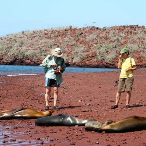 Beach scene, Galapagos