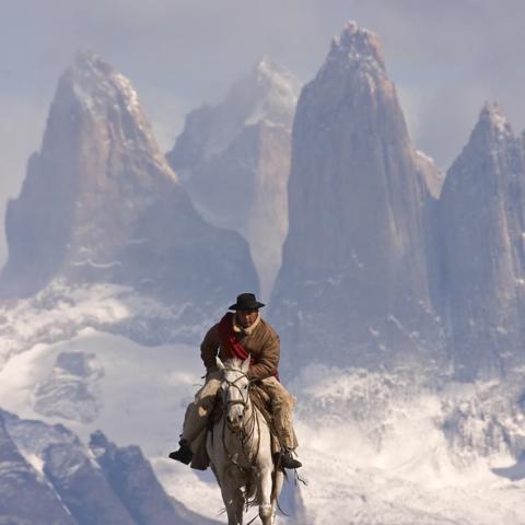 Gaucho