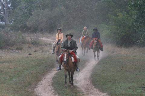 Horseback ride, Baia das Pedras