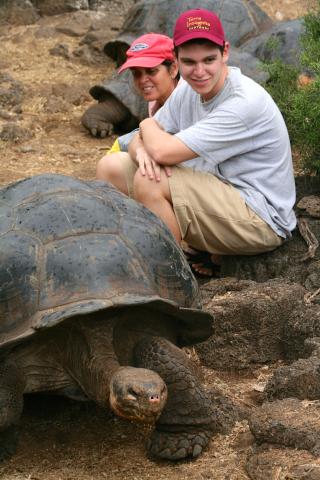 Galapagos Giant Tortoise