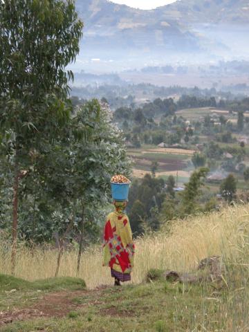Mountain scenery - Rwanda Mountain scenery - Rwanda
