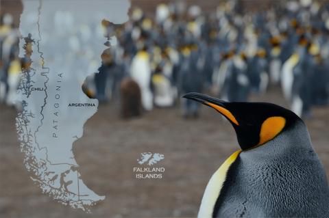 Falkland Islands map