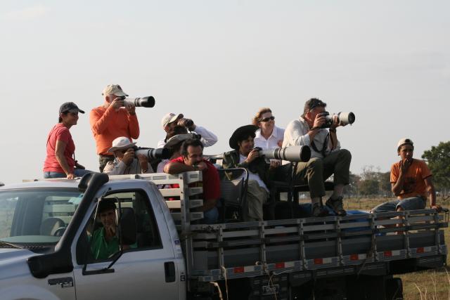 Game drive truck, Baia das Pedras