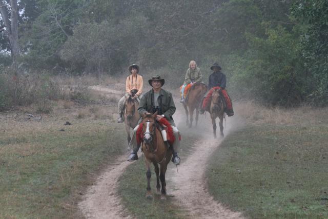 Horseback ride, Baia das Pedras