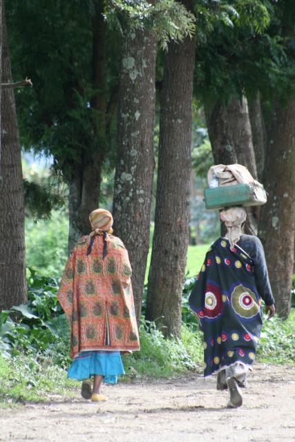 Rwanda scenery