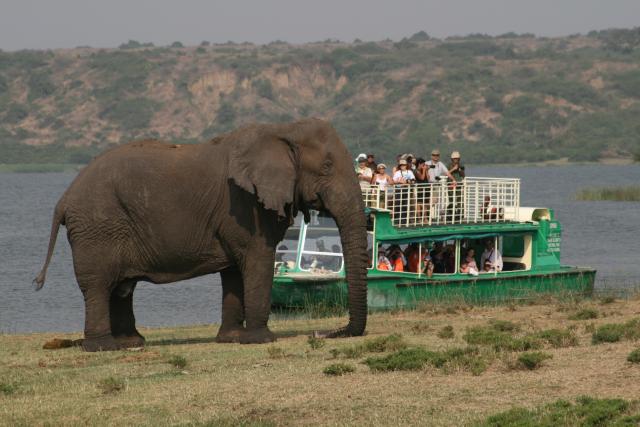 Kazinga Channel in Queen Elizabeth National Park