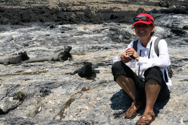 Marine iguanas, Galapagos