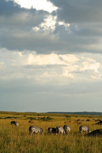 Masai Mara scenery