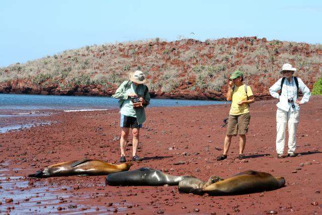 Beach scene, Galapagos