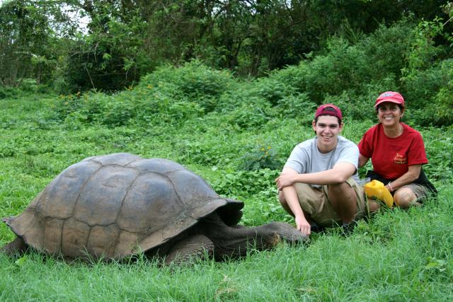 Galapagos Giant Tortoise