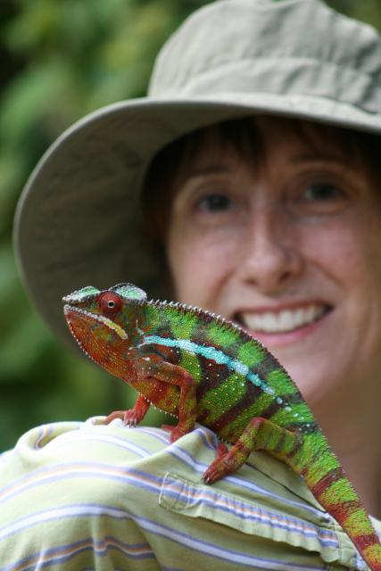 Chameleon 