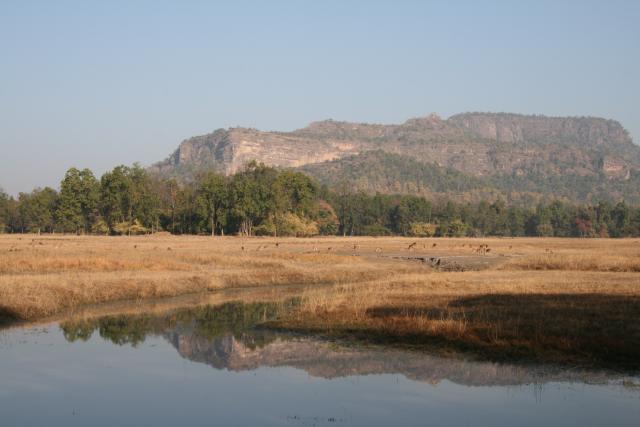 Bandhavgarh National Park