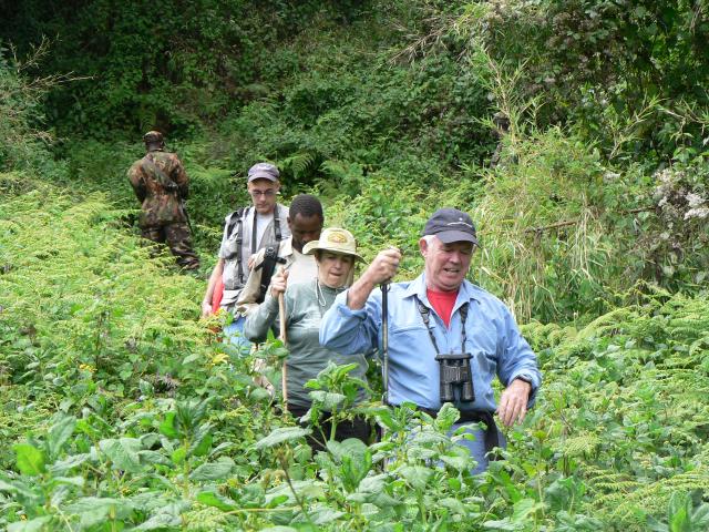 Mountain gorilla trekkers return from successful gorilla trek
