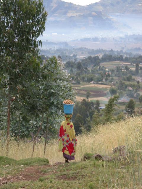Mountain scenery - Rwanda