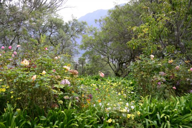 Gardens at Hacienda Huayoccari