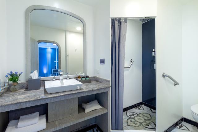 Bathroom on MV Horizn