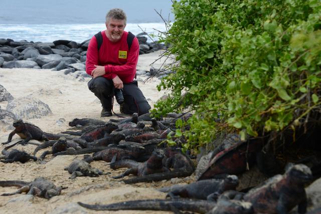 Marine iguanas, Espanola, Galapagos