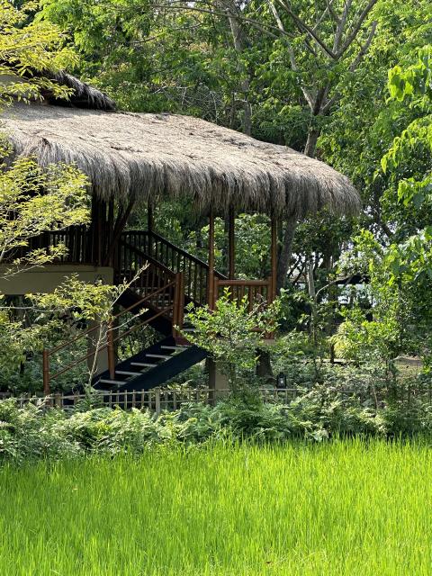 Diphlu River Lodge, Kaziranga