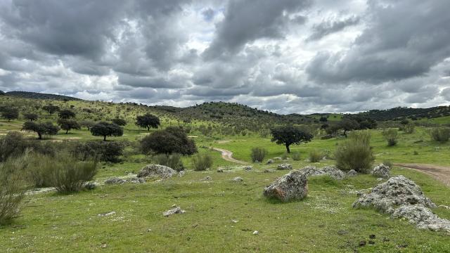 Iberian Lynx habitat, Spain