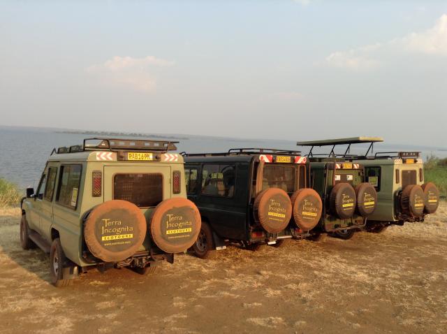 Game drive, Rwanda