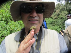 IMG_2535